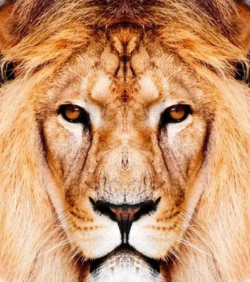 how to solve the problem