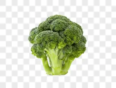 创意西蓝花海报图片-创意西蓝花海报素材图片大全-摄图网