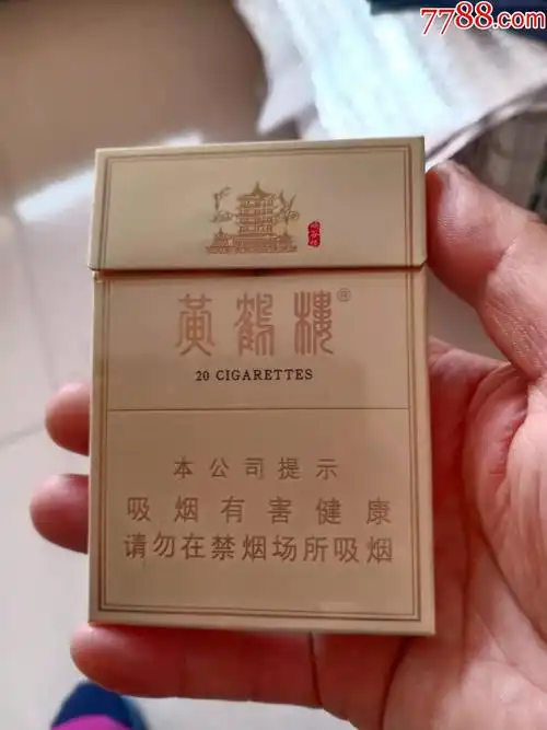 黄鹤楼峡谷情中支