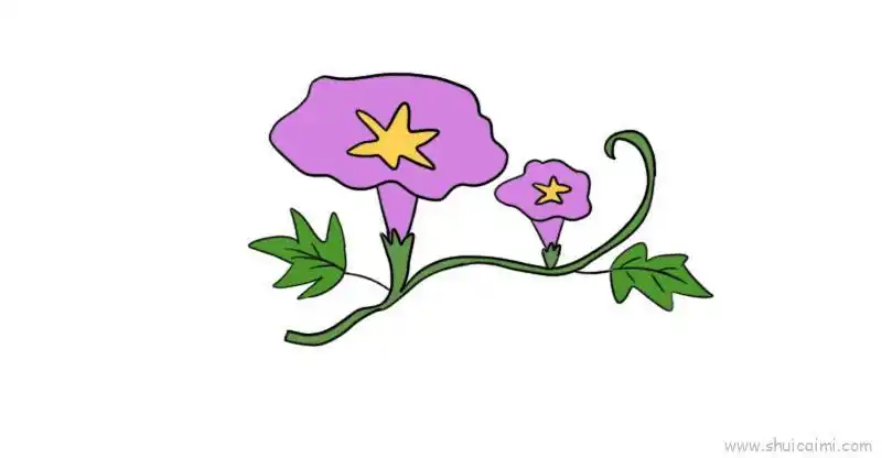 2,下面画一根藤蔓,旁边再画一朵小的牵牛花.3,左右两边画上叶子.