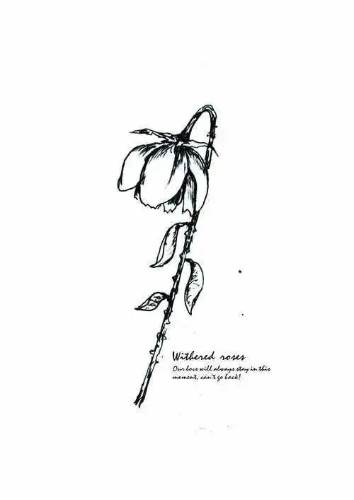 枯萎的花朵的简笔画