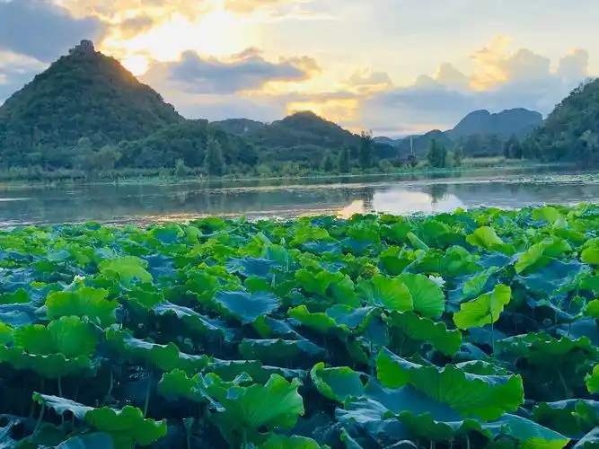 绿水青山总是情