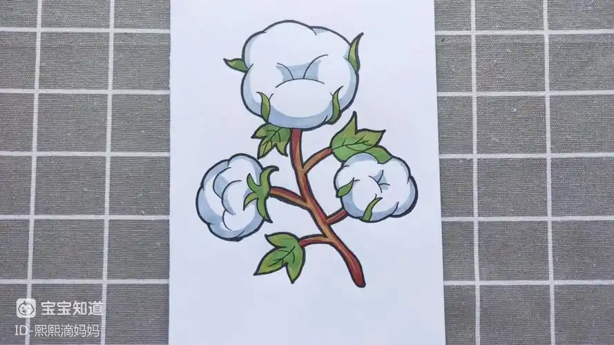 [最佳答人]棉花怎么画