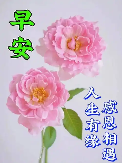 11月10日星期五早上好,最新漂亮早安图片带字精选祝福语,群发暖心的