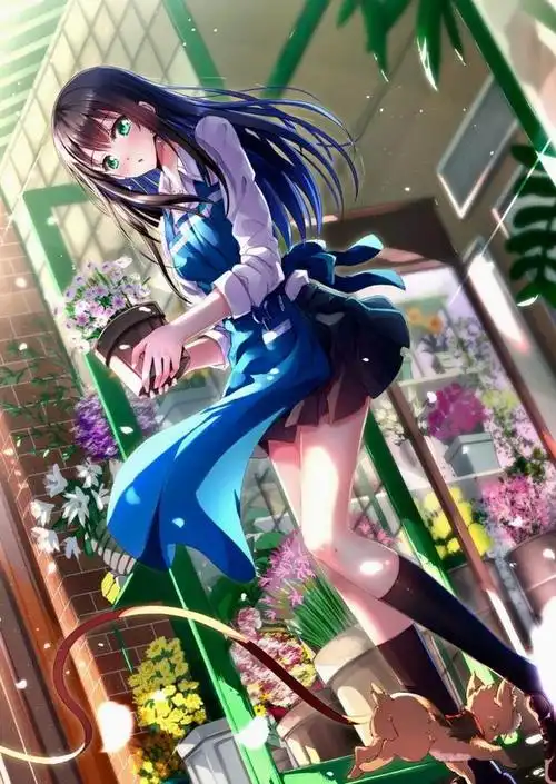 腿特别长的二次元动漫小主,喜欢可以收藏