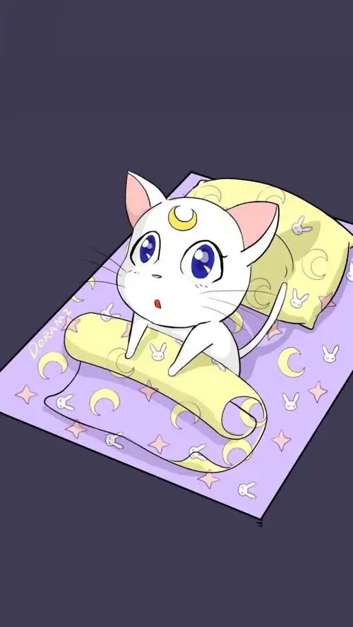 从被窝爬起的美少女战士白猫亚提米斯手机壁纸