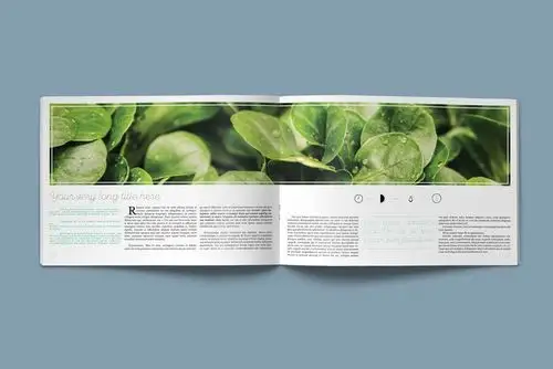 横版画册排版模板 floral brochure – 云瑞设计