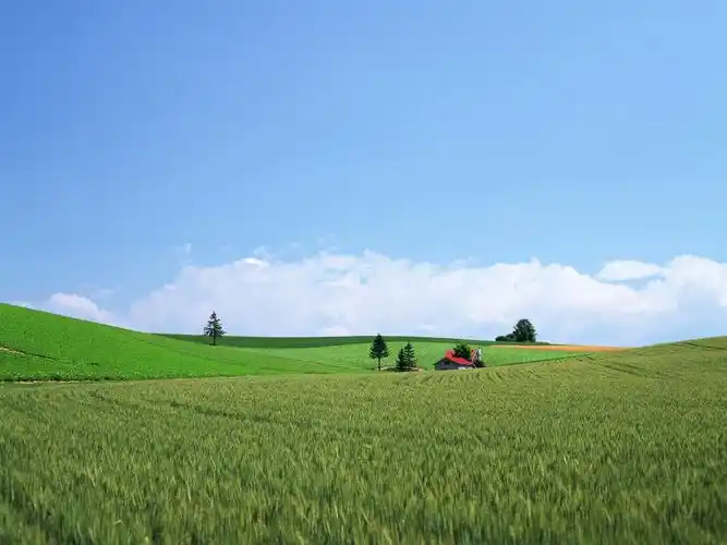 美丽的蓝天白云照片(20p)