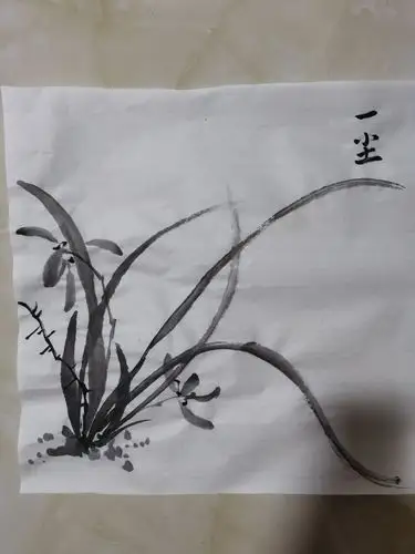 其它 我的2020 写美篇上了几天精品体验课以后,我被大鹏国画学院老师