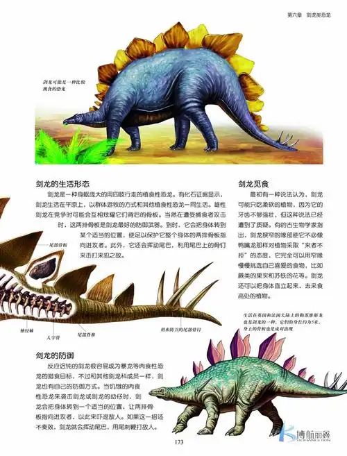 恐龙儿童文版启蒙百科科普少儿36101214岁书籍彩色科普百科