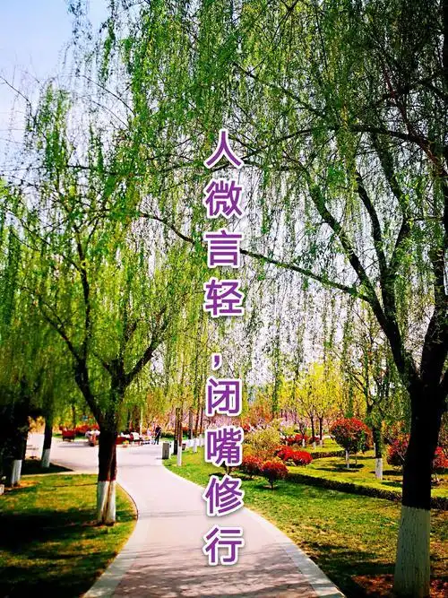 少说话,多倾听 - 简书