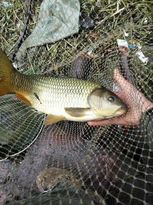 天冷了,鱼也不好钓了