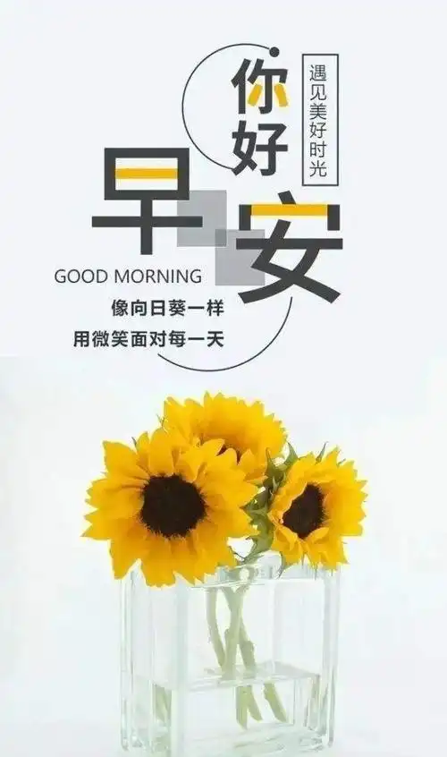 正能量早安心语图片触碰心灵的文字励志早上好暖心语录