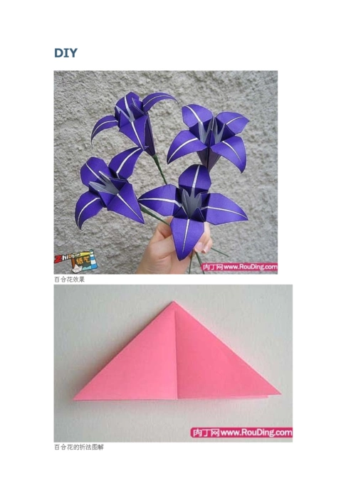 百合花的折法.doc 16页