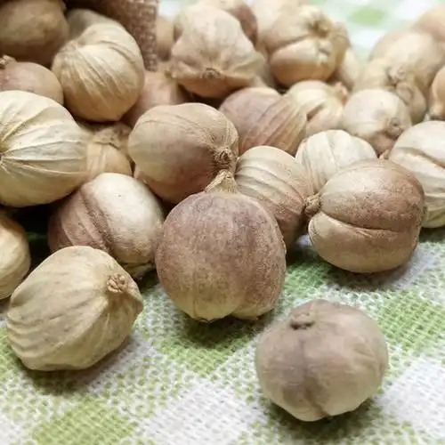 白蔻40克中药无硫新货香料调料白扣白寇白豆蔻花椒