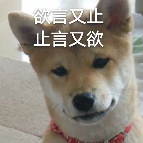 水一些实用的柴犬表情包