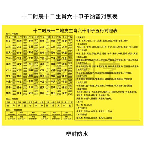 十二生肖对照表十二时辰天干地支六十甲子纳音五行12生肖对照表
