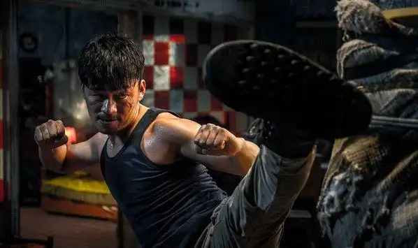 少林寺出身的王宝强功夫如何?甄子丹给出答案,网友表示佩服马蓉