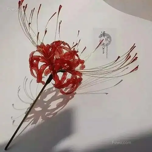 地狱少女彼岸花头像_微信头像图片大全