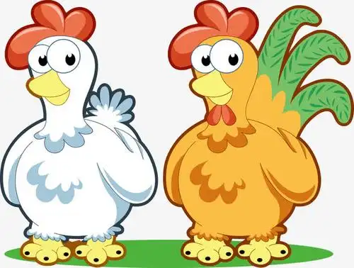 卡通公鸡母鸡矢量图