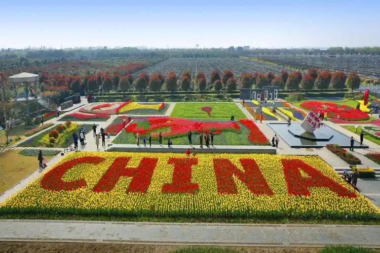 东西湖郁金香主题公园鸟瞰由1.8万株郁金香拼成的超大版五星红旗
