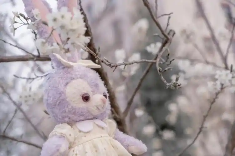 春天到啦,带上可爱的星黛露去赏花踏青吧#星黛露  #星黛露壁纸  #踏青