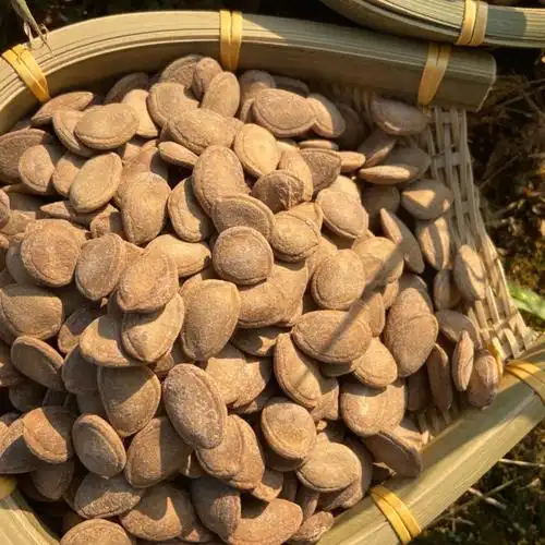 好吃的瓜蒌籽滋润肠道