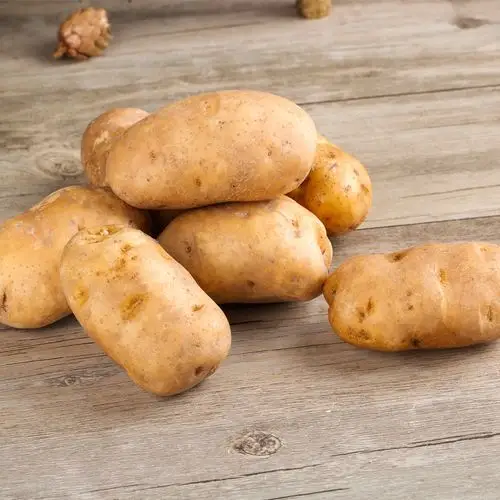 城口特产黄皮土豆5斤装 土豆洋芋土豆新鲜土豆农家自种马铃薯蔬菜_5折