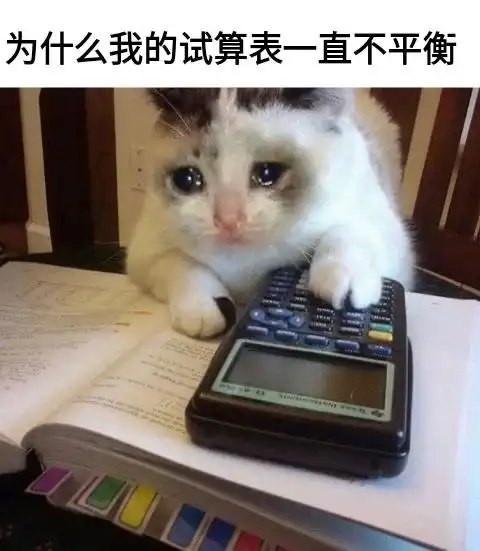 会计你的账做平了吗