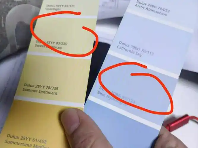 多乐士乳胶漆蓝色翻车了