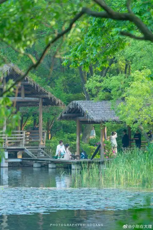 在杭州西湖拍到绿野仙踪#  在杭州西湖旁的小众景点,发现了现实暗的