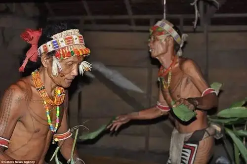 这里的人们用树叶做衣服,女人整天钓鱼吃,可惜很快要灭绝