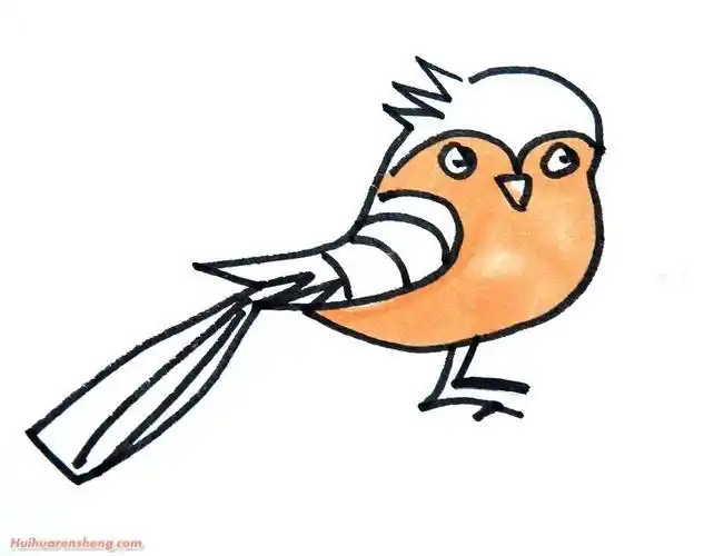 幼儿卡通小鸟简笔画可爱