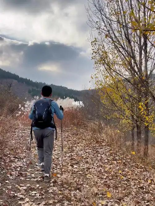 有的路,你必须一个人前行,这不是孤独,而是选择.#好好和秋天告个别吧