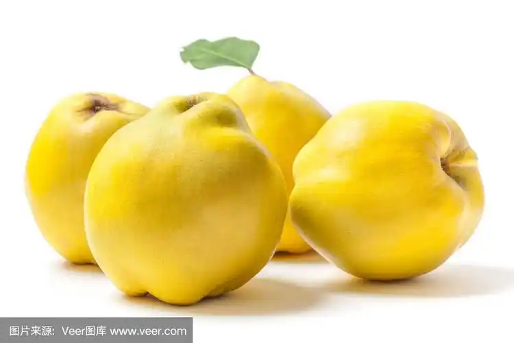 四黄色新鲜榅桲在白色原种照片