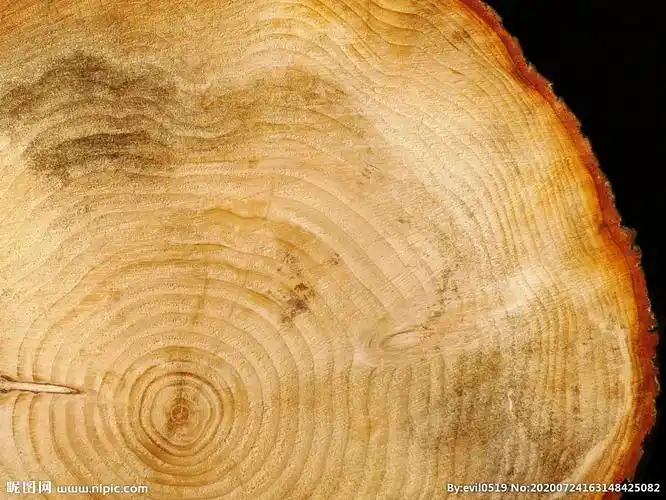 jpg颜色:rgb40共享分举报收藏立即下载×关 键 词:年轮木纹 树 木 老