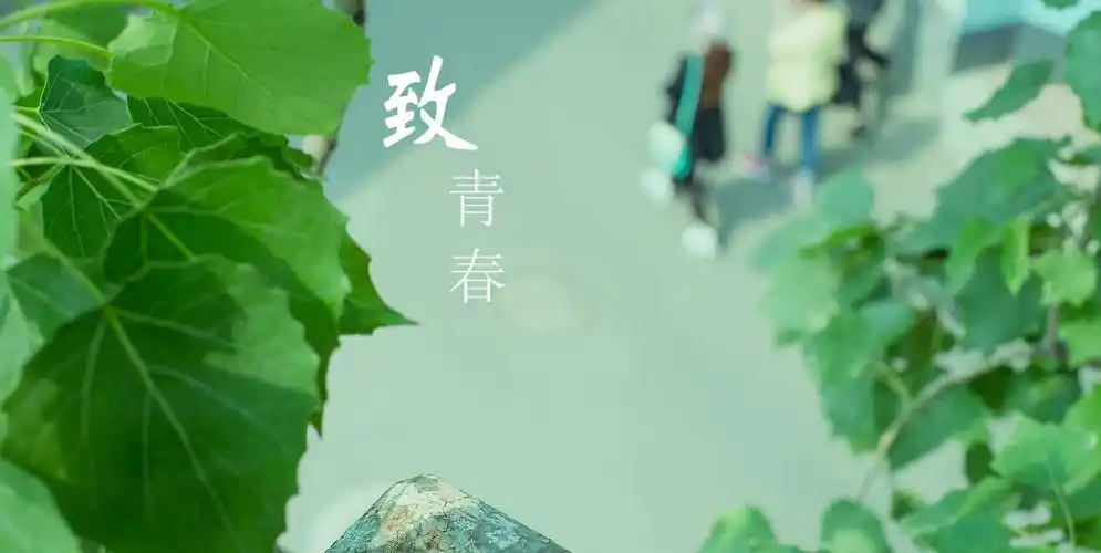 eduwind青春版plus版演示站 - 课程