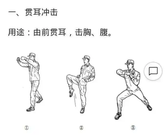 新十六式擒敌拳图解 - 抖音