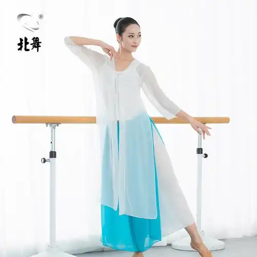 北舞舞蹈民族古典练功成人现代舞飘逸雪纺纺纱古典舞服