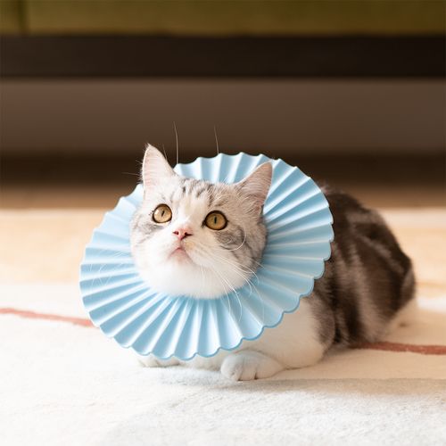 短腿队长猫咪专用伊丽莎白圈eva超轻防舔圈防水宠物不抗拒曼基康