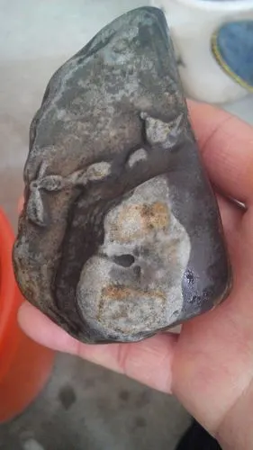 请懂行的看看手玩奇石"人之初"怎么样?外行绕行