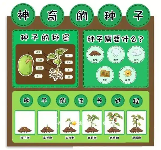 春天环创主题墙神奇的种子