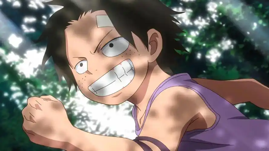 艾斯 海贼王 搬运来源于微博@可爱的外表下… - 堆糖,美图壁纸兴趣