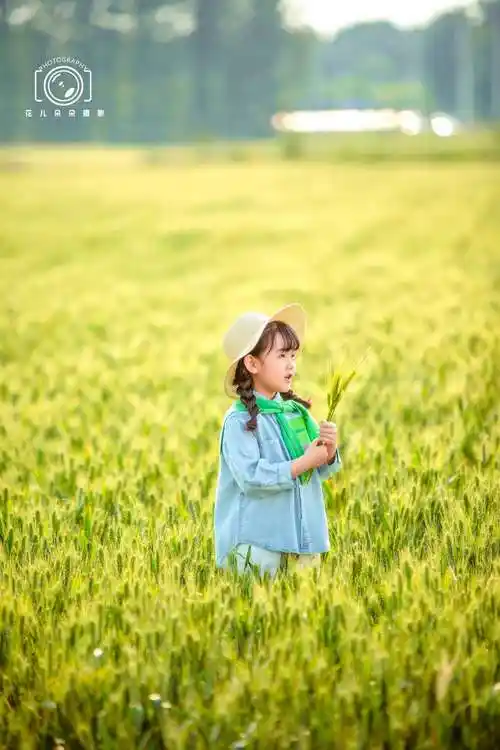 摄影师孟浩的儿童摄影作品《花海 麦田外景》