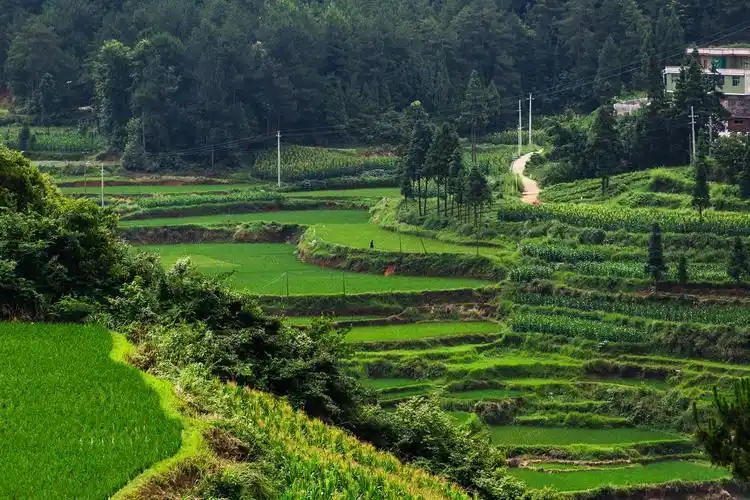 乡村自然风景生态摄影
