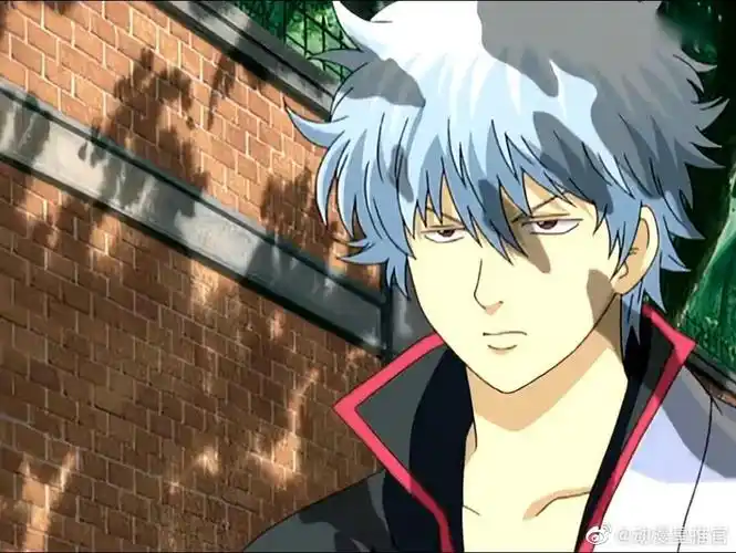 银时,自截头像眼神坚毅,立场坚定!_高清图集_新浪网