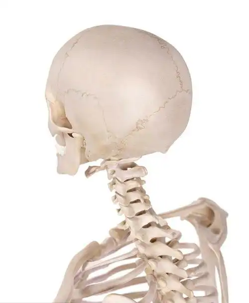 颈椎病如何调理