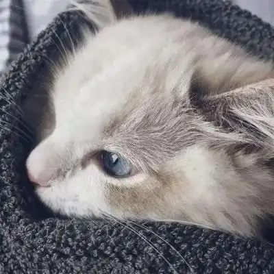 首页 头像 qq个性头像