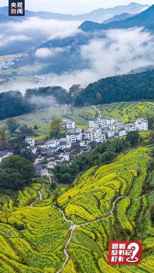 婺源,有才华!