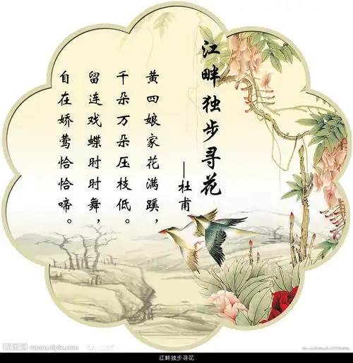 兰花诗50首(最经典的兰花诗)